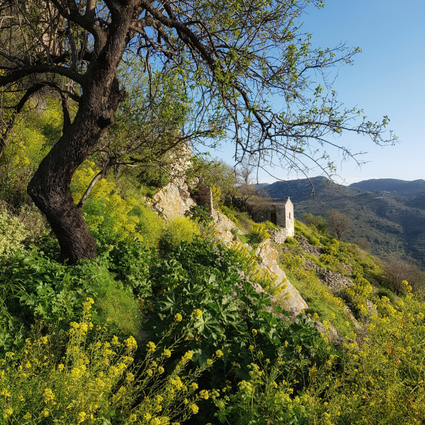 Προσμονώντας την άνοιξη.